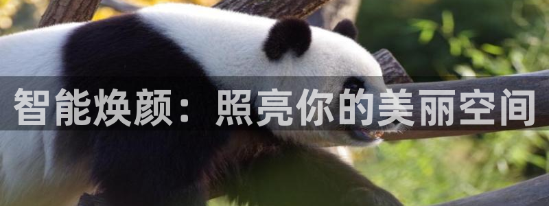 云顶国际游戏平台53m