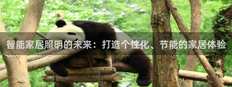 云顶国际的网址是多少