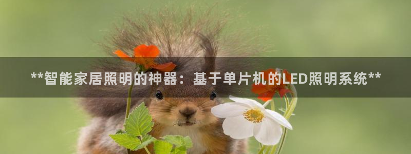 云顶国际ktv会所电话