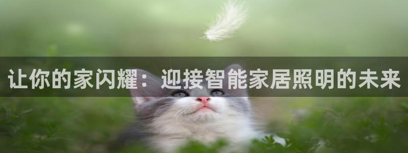 云顶国际商业广场怎么样