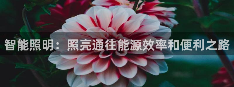 云顶国际商业广场A座101