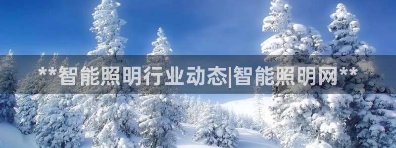云顶国际酒店老板是哪里人