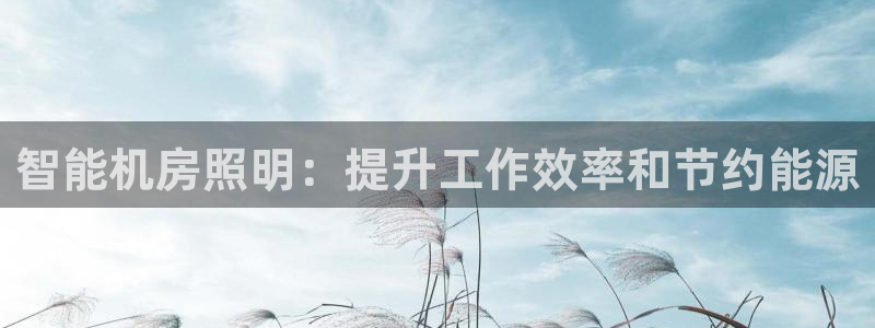 云顶集团中国公司