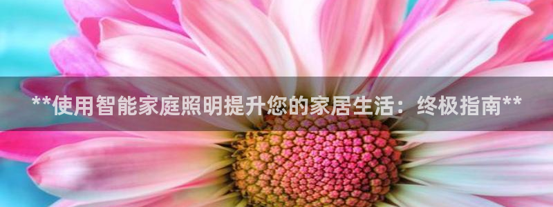 云顶国际KTV商务会所(新华街南段店)简介