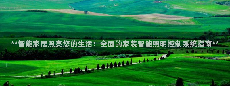 云顶国际服账号