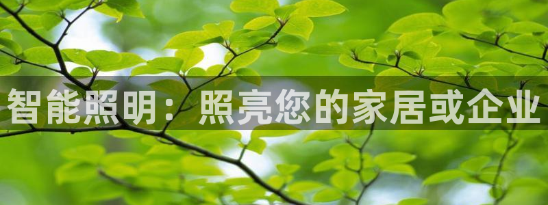 云顶集团有限公司简介电话