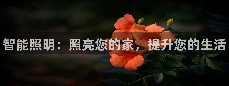 云顶国际城手机网址查询