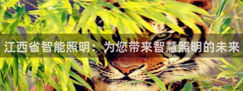 云顶国际提款不到账什么原因