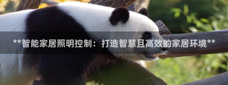 云顶国际滑雪场