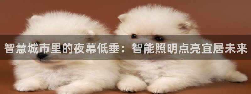 云顶国际官方网站下载手机版