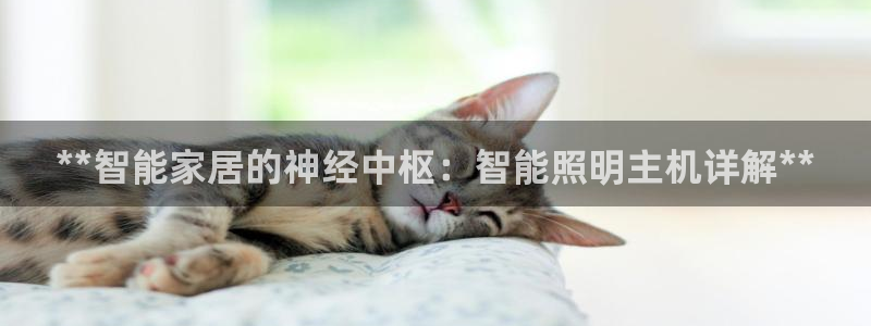 云顶集团游戏app是合法的吗