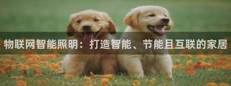 云顶国际的客服几点在线