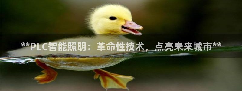云顶国际培训机构
