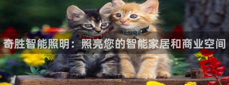 云顶7610最新