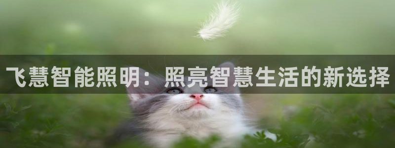 云顶国际装饰设计招聘