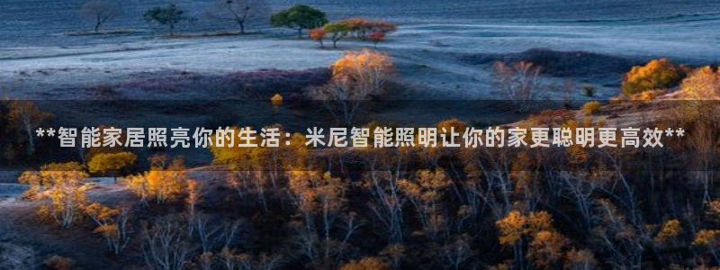 云顶国际平台游戏app
