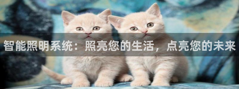 云顶国际晟荣协会会长是谁