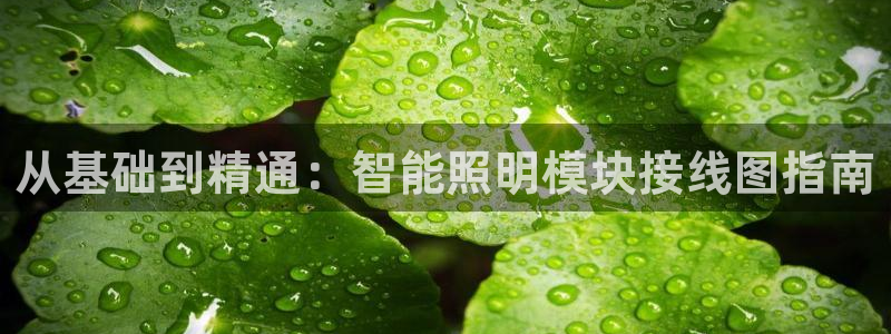 云顶国际是什么充值安全吗