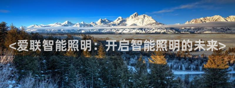云顶国际是什么公司
