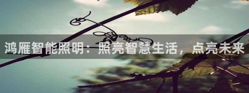 云顶国际林梧桐