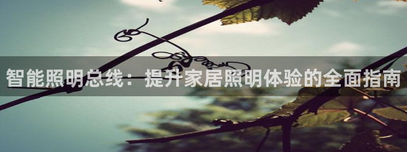 云顶国际期临沭在哪