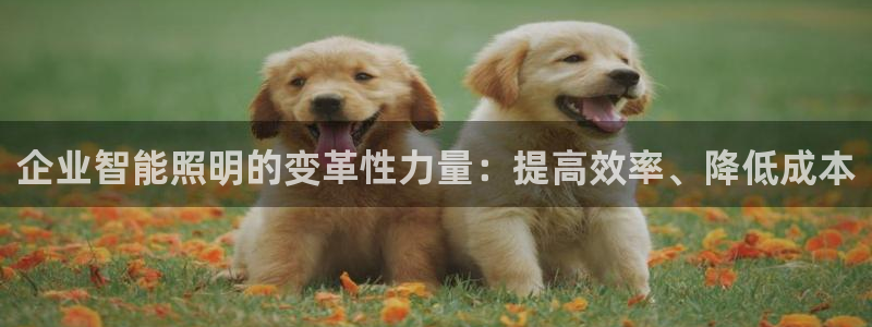 云顶国际App
