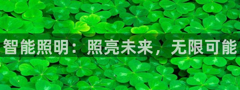 云顶集团简介概况