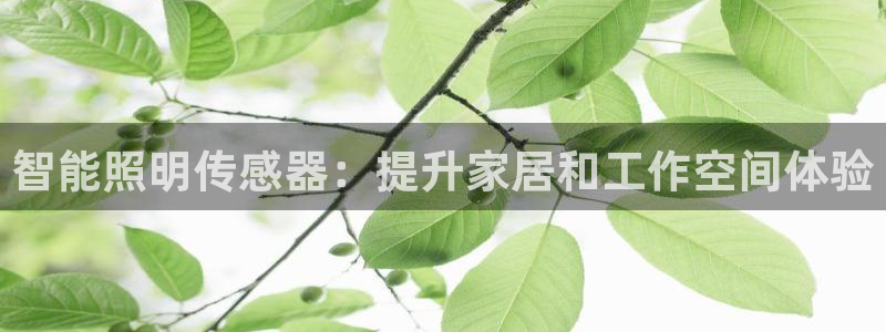 云顶手游国际服什么时候更新