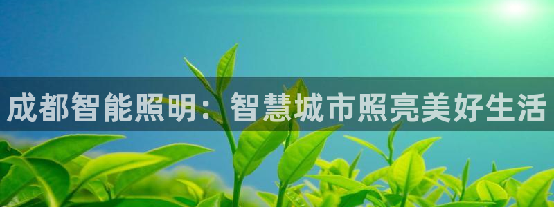 云顶国际app官网