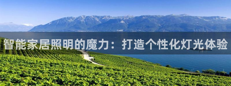 云顶国际黑款