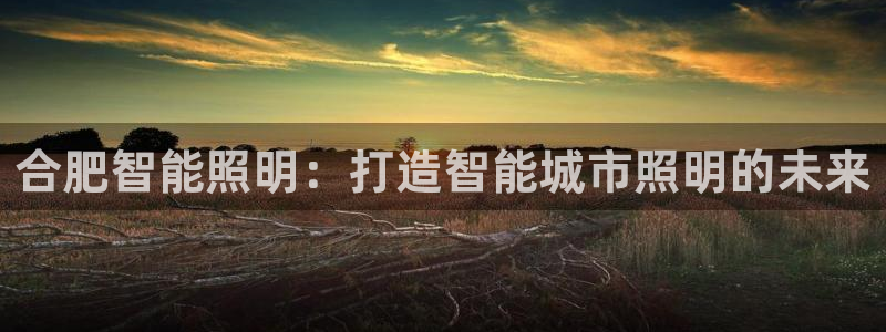 2322云顶国际手机版