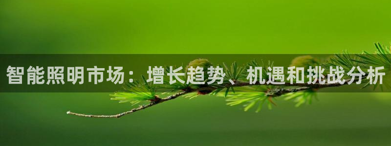 云顶集团董事长是谁