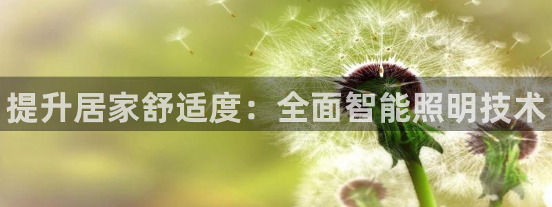 云顶国际物流电话