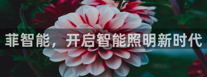 太原云顶国际酒店老板是谁