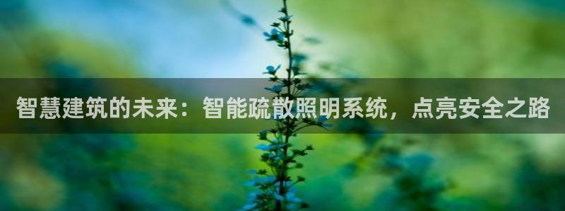 云顶国际装饰设计