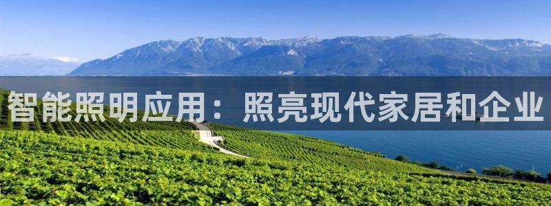 云顶集团app