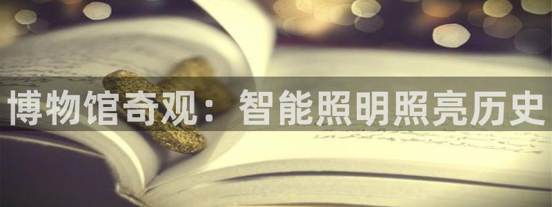 云顶国际物流官网网址