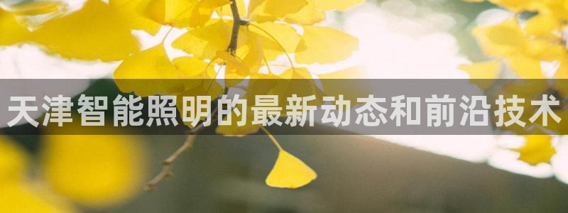 云顶国际nba今日推荐