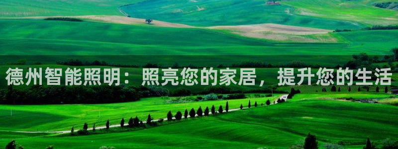 云顶国际酒店老板叫什么