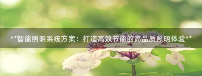 云顶国际平台游戏官网入口
