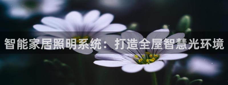 云顶手游国际