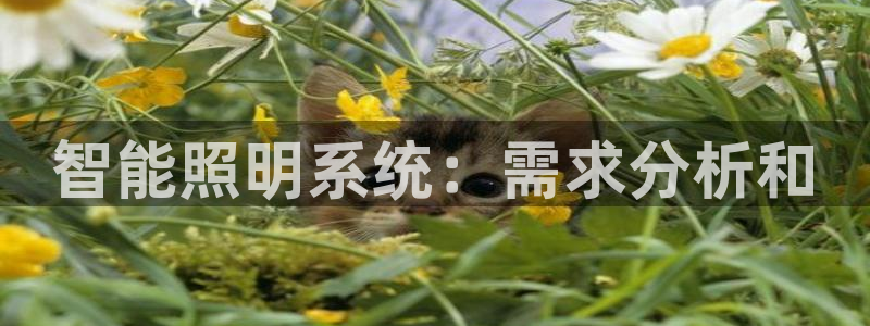 云顶app官网