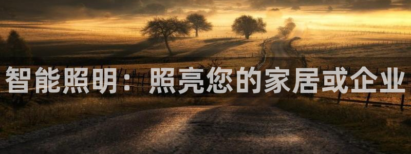 云顶国际服充值