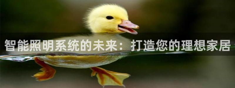 云顶集团网站安全吗