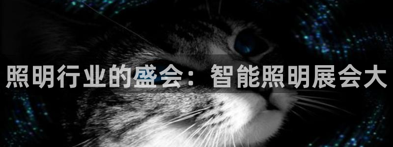 云顶游戏网站网址