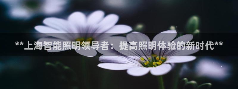 云顶国际宴会中心电话