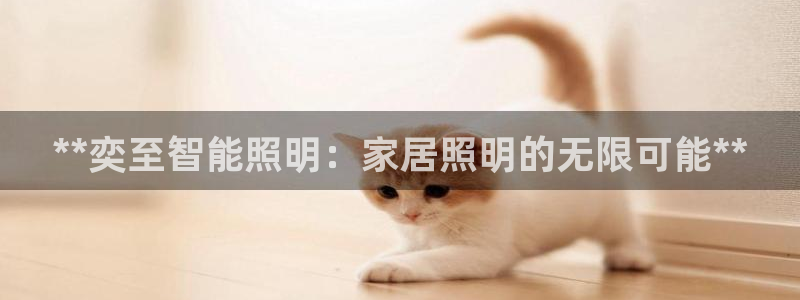 云顶国际是什么公司