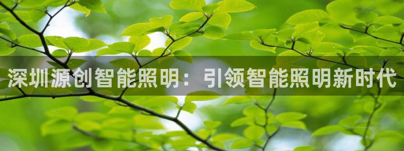 云顶国际酒店位置在哪