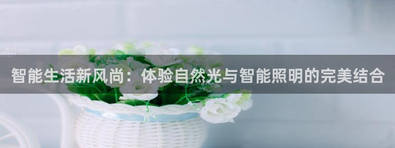 云顶国际房地产有限公司
