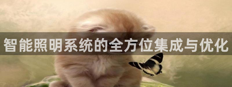 云顶国际平台app